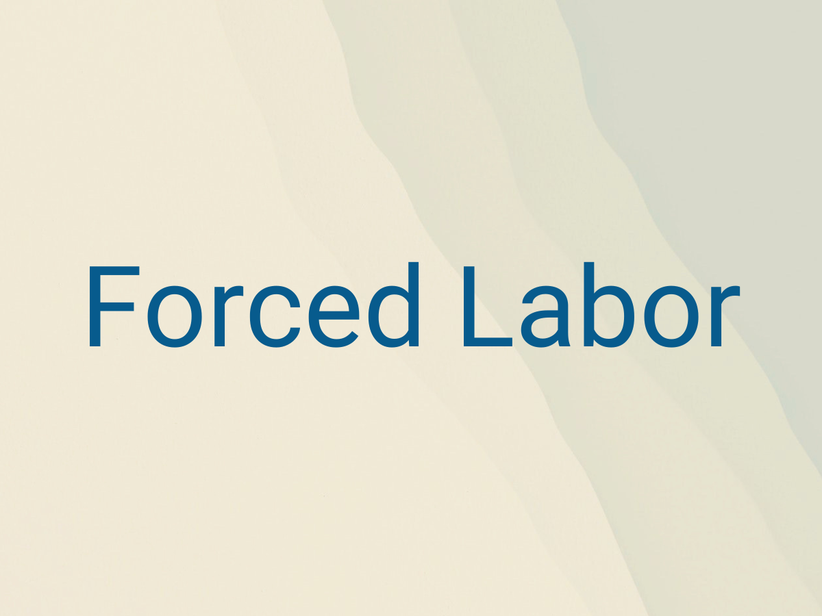 Forced Labor Hub Z2Data